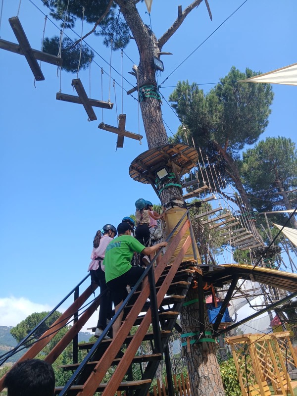 Children climbing towards a rope course in the trees